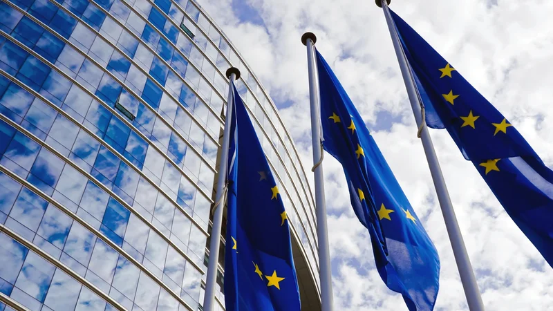 Fotografija: EU na koncu leta, v katerem je Rusija napadla Ukrajino in ko dolgo ni bilo gotovo, ali bomo pozimi sploh imeli dovolj plina, vendarle zmore sprejemati odločitve. FOTO: Getty Images/istockphoto