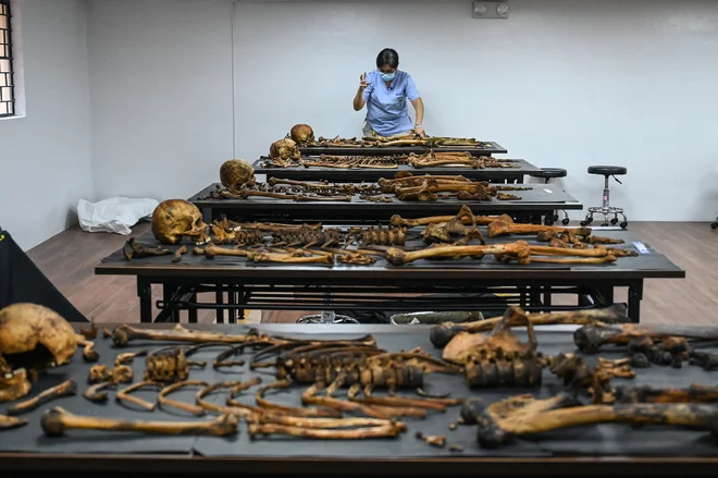 Forenzična patologinja Raquel Fortun v svojem laboratoriju na Medicinski fakulteti Univerze v Manili ureja skeletne ostanke žrtev vojne proti drogam za obdukcijo. Fortunova Išče resnico o njihovi nasilni smrti in pravico za njihove družine. Foto: Jam Sta Rosa/Afp