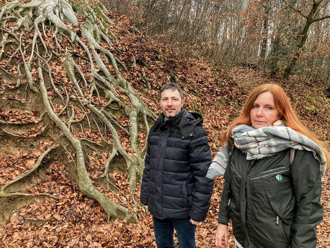 Viktor Miklavčič in Barbara Slabanja iz ljubljanske enote zavoda za gozdove bdita nad sečnjo v krajinskem parku.
