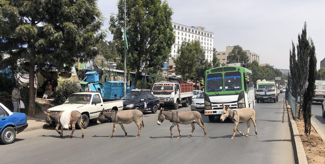 Prizor iz Adis Abebe, glavnega mesta Etiopije. Vozniki morajo biti pripravljeni na vse. FOTO: Aljaž Vrabec

