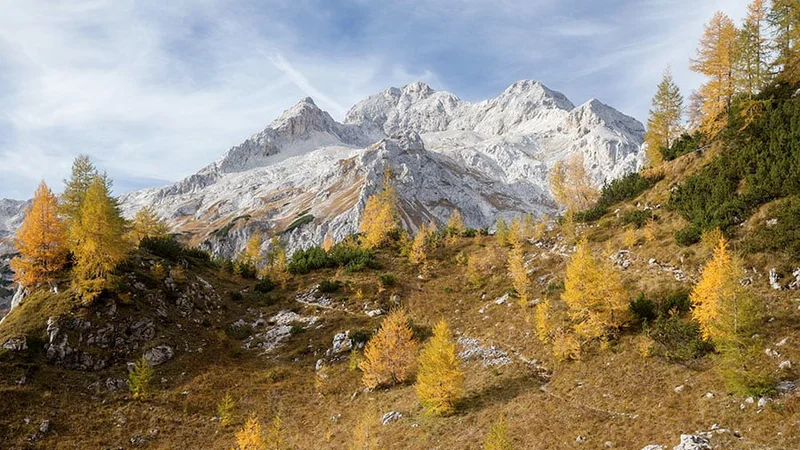 Fotografija: Vrh gore je bel kažipot očem/In jasen dan žari od vsepovsod/in sreča je, da je pred mano pot,/in to da vem, da slast je v tem, da grem, je zapisal Janez Menart. FOTO: Planinsko društvo Srednja vas v Bohinju