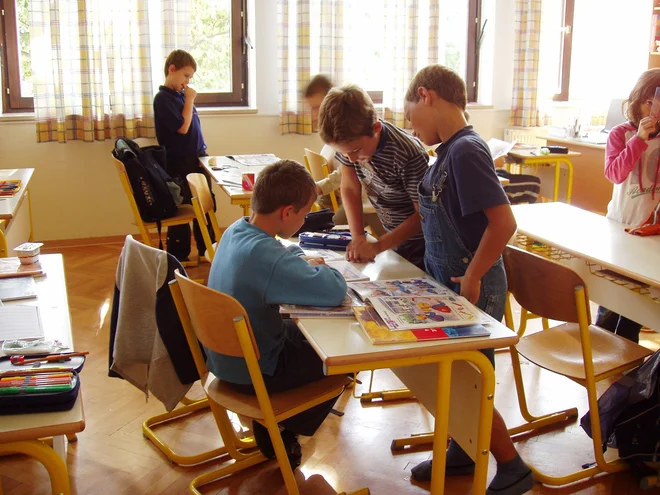 Pouk ni statičen. Včasih je treba iti tudi malo naokoli, ko delajo. FOTO: osebni arhiv