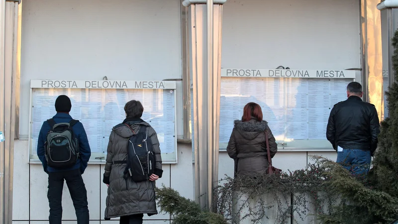 Fotografija: Konec lanskega leta je bilo skoraj 12.800 brezposelnih manj kot leto prej. FOTO: Matej Družnik/Delo