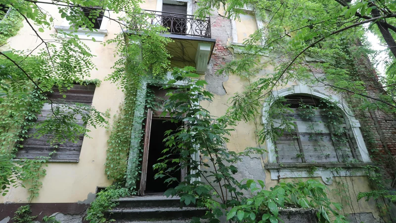 Če investitor ne bo takoj začel z deli, se bo stavba nekdanjega hotela Bellevue zrušila sama vase. FOTO: Dejan Javornik/Delo