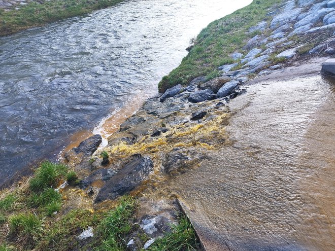 Rumenkasta tekočina je iz tovarne Tastepoint (nekoč Etol) iztekala v potok in od tam v Hudinjo. FOTO: Matej Bombač
