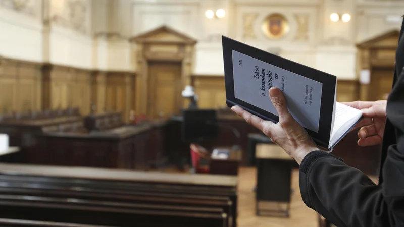 Fotografija: Letos se bodo izdatki za plače javnih uslužbencev povečali za približno 13 odstotkov. FOTO: Leon Vidic/Delo