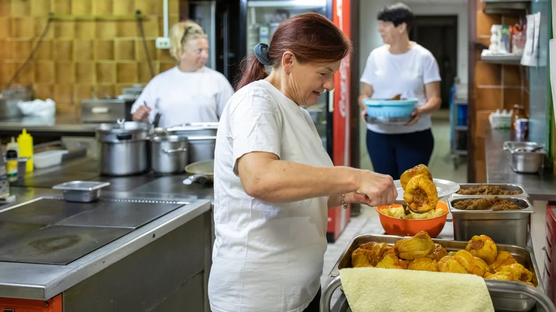 Fotografija: Portal www.SeniorDela.si ima vsak dan večji obisk, registriralo se je že več kot tisoč upokojencev. FOTO: Voranc Vogel/Delo
