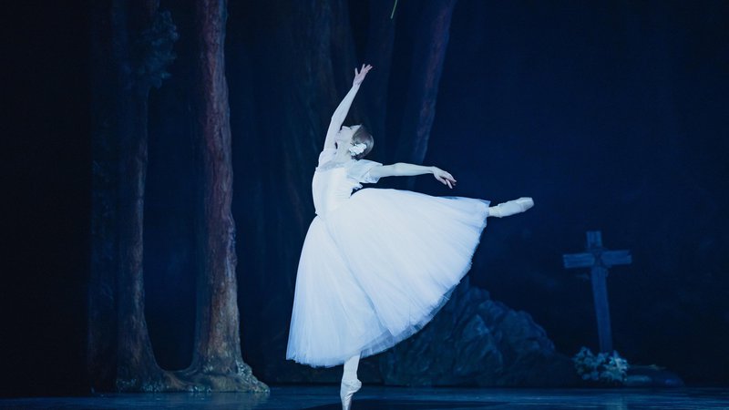 Fotografija: Zdi se, da današnji koreografi radi izberejo klasične balete in jim dajo novo preobleko, bodisi klasično bodisi moderno. FOTO: Darja Štravs Tisu
