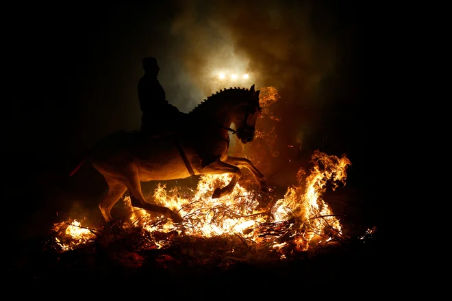 Jezdec se prebija skozi plamene med vsakoletnim praznovanjem »Luminarias« na predvečer dneva svetega Antona, španskega zavetnika živali, v vasi San Bartolome de Pinares, severozahodno od Madrida. Foto: Susana Vera/Reuters