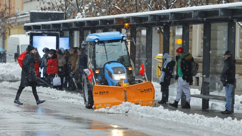 Fotografija: Kriva je zgolj in le narava oziroma sneg, ki je (začuda) padel sredi januarja. FOTO JOŽE SUHADOLNIK/DELO