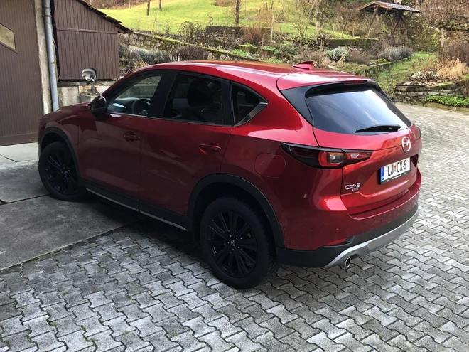 Testni model je poganjal 2,5-litrski bencinski agregat. FOTO: Aljaž Vrabec
