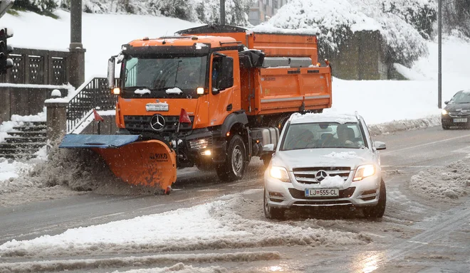 FOTO: Blaž Samec/Delo
