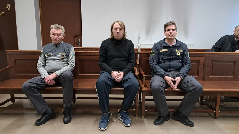 Fotografija: Za umor matere so ga obsodili na 26 let zapora, za poskus umora očeta na 15 let zapora. Izrekli so mu enotno kazen 30 let zapora. FOTO: Špela Kuralt/Delo