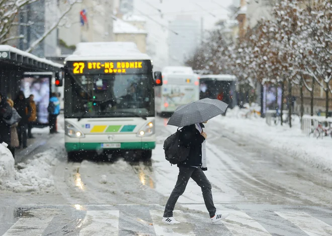 FOTO: Jože Suhadolnik/Delo
