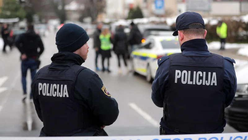 FOTO: Blaž Samec/Delo
