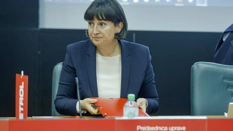 Fotografija: Po oceni predsednice uprave družbe Nade Drobne Popović je tudi letošnje izplačilo dividend odvisno od tega, ali se bo trgovcu z državo uspelo dogovoriti za povračilo lani nastale škode. FOTO: Jože Suhadolnik/Delo