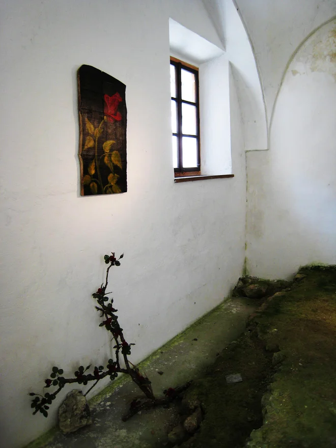 Grob Veronike Deseniške so iskali mnogi FOTO: Aleš Nosan
