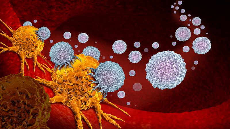 Fotografija: Imunoonkološke terapije zajemajo različne pristope, katerih cilj je stimulacija imunskega sistema, da ta prepozna tumor kot tujek, ga napade in odstrani. FOTO: Shutterstock
