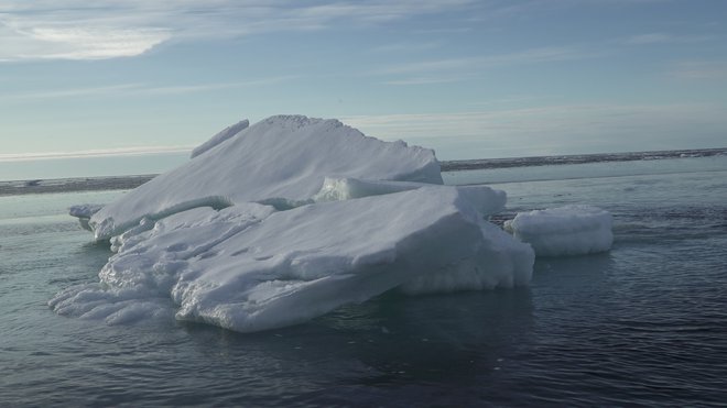 Na tem območju narvali bivajo že od zadnje ledene dobe in imajo majhen specifičen življenjski prostor. Ko bodo enkrat izginili, ne moremo pričakovati, da se bodo vrnili. FOTO: Natalie Thomas/Reuters
