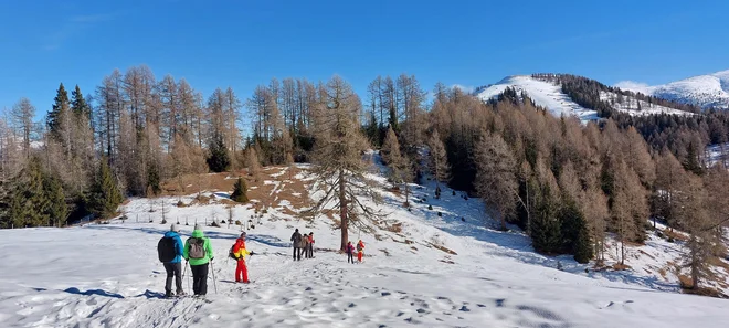 Kdor želi uživati v spokojnosti narave, lahko izbere večurni vodeni pohod s krpljami. FOTO: Urša Izgoršek

