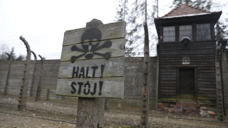 Fotografija: Med žrtvami Auschwitza je bilo tudi 1331 zapornikov in zapornic iz Slovenije. FOTO: Jakub Porzycki via Reuters
