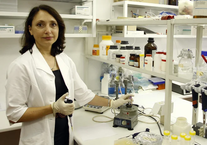 Raziskovalno skupino v Sloveniji je vodila predstojnica Inštituta za biokemijo in molekularno genetiko na Medicinski fakulteti Univerze v Ljubljani Vita Dolžan. FOTO: Aleš Černivec/Delo
