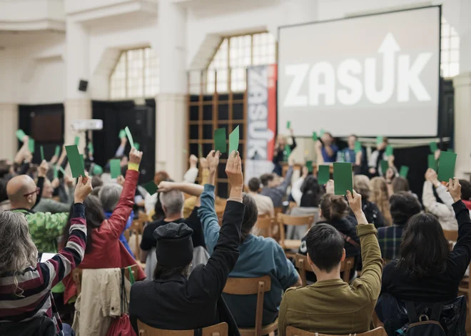 V Zasuku poudarjajo, da je specifika samozaposlenih v tem, &raquo;da nimajo zagotovljenih rednih mesečnih prihodkov, zato težko dostopajo do kreditov&laquo;. FOTO: Andrej Lamut
