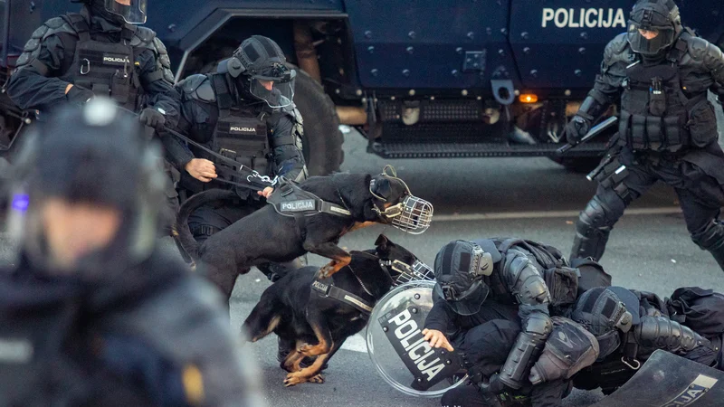 Ker gre za časovno oddaljene dogodke, se bodo osumljeni utegnili izogniti odpovedi delovnega razmerja. FOTO: Voranc Vogel/Delo