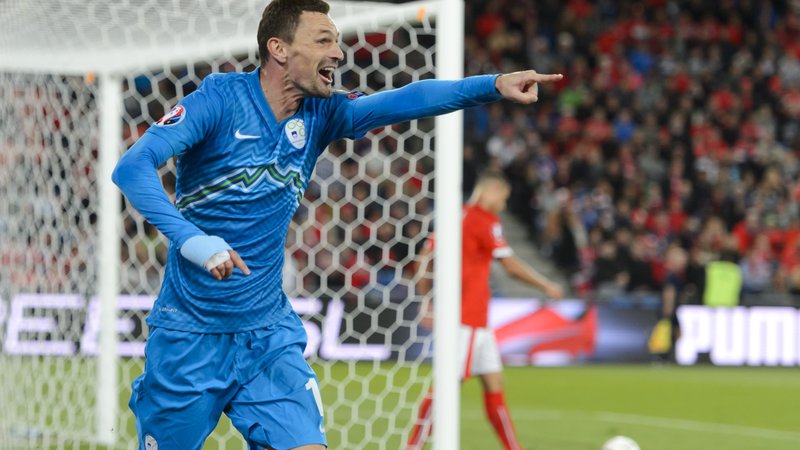 Fotografija: Milivoje Novaković se je 5. septembra 2015 v Baslu takole veselil gola za vodstvo Slovenije z 2:0, nekaj minut zatem pa se je poškodoval. Če bi Slovenci izržili vsaj točko, bi igrali na euru 2016. FOTO: Fabrice Coffrini/AFP
