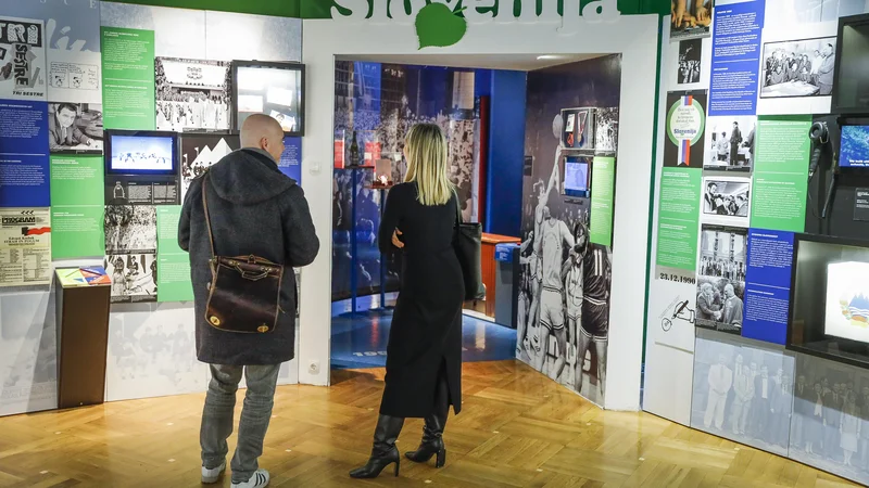 Muzeje potrebujemo zato, da se objektivno in s časovno distanco pogleda na dogodke, osebe, razmere, vzroke in posledice, da se ob neki veliki spremembi naredi objektivna primerjava ... FOTO JOŽE SUHADOLNIK/DELO
