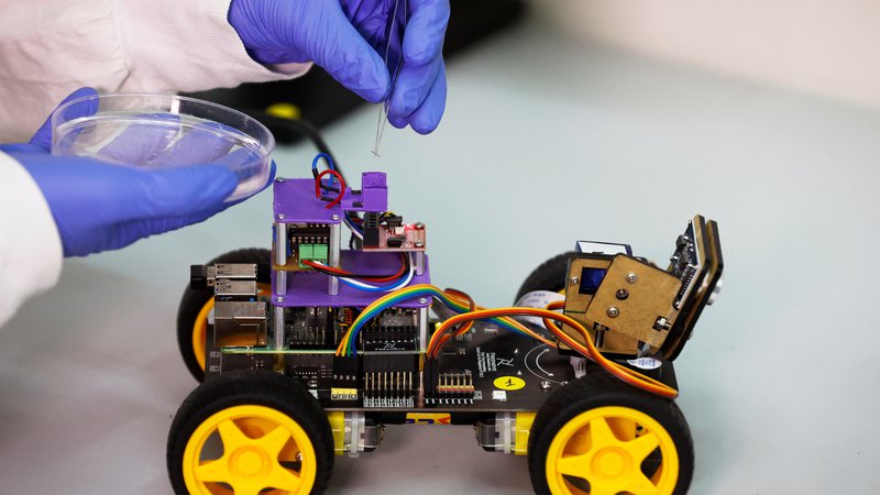 Fotografija: Robotek je opremljen s tipalnico kobilice, da lahko zaznava različne vonje. FOTO: Amir Cohen/Reuters
