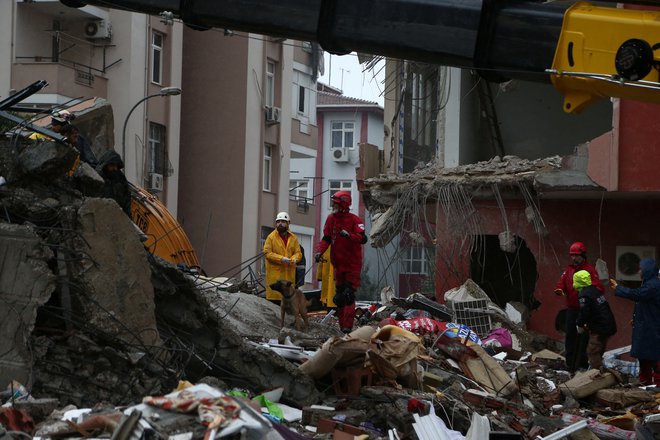 Pri reševanju izpod ruševin pomagajo psi. FOTO: Cagla Gurdogan/Reuters
