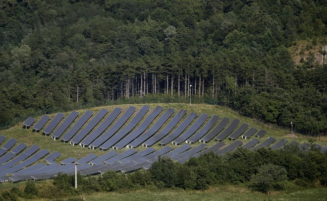 Sončne elektrarne bodo imele prednost pred vsemi drugimi naložbami. FOTO: Blaž Samec/Delo
