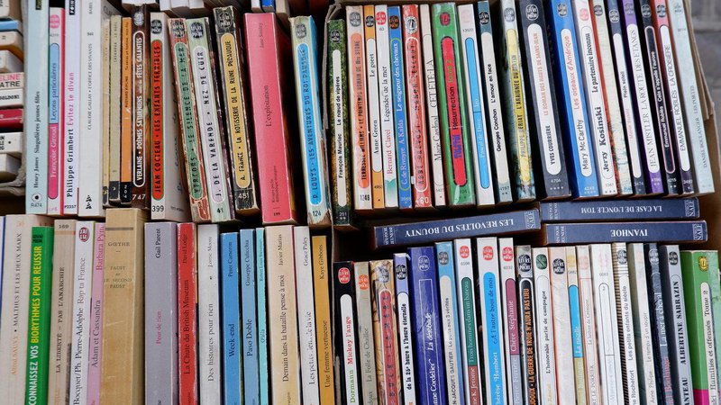 Fotografija: Več kot polovica vseh lani prodanih knjig v Franciji je bila žepnic (118 milijonov)​. FOTO: ruedesboulets.com
