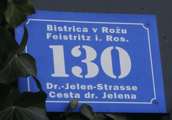 Na izbor jezika vpliva jezikovni habitus govorca, je v nagrajenem doktoratu poudarila Sabina Zorčič. FOTO: Tomi Lombar
