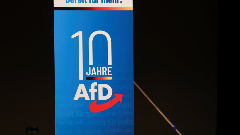 Fotografija: AfD ob deseti obletnici napoveduje, da so pripravljeni sodelovati v prihajajočih vladnih koalicijah. FOTO: Kai Pfaffenbach/REUTERS
