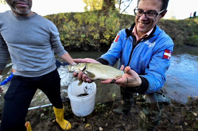 Reševanje rib iz reke Orchetto novembra 2022. FOTO: Massimo Pinca/Reuters

