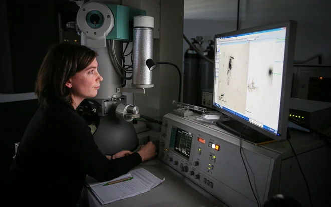 Katarina Bačnik FOTO: Jože Suhadolnik
