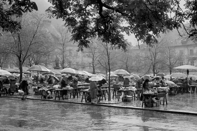 Osrednja ljubljanska tržnica, aprila leta 1964. Foto Marjan Ciglič