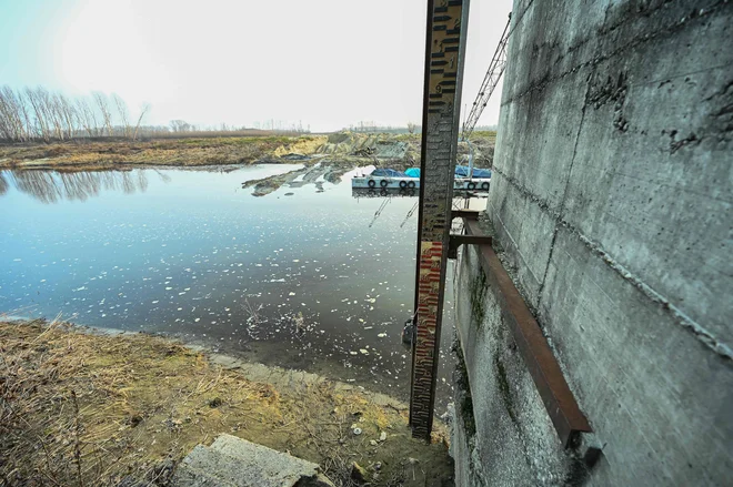 Skrb vzbujajo podobe območja za Beneško laguno, vse do Piemonta. Kjer so bile bogate reke s Padom na čelu, se kažejo posušena tla, vode ponekod ni niti za vzorec. FOTO: Piero Cruciatti/AFP
