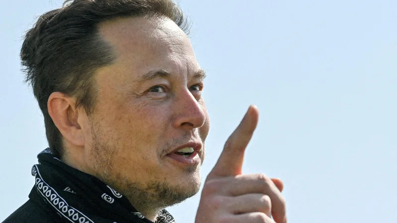 Fotografija: Elon Musk želi s Teslo do leta 2030 doseči letno prodajo 20 milijonov električnih avtomobilov na leto. FOTO: Pool New Reuters