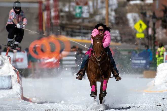 23-letna Savannah McCarthy iz Duranga v Koloradu na svojem konju dirka po Harrison Avenue, medtem ko vleče smučarja Haydena Lapointa med 75. letnim tekmovanjem Leadville Ski Joring. McCarthyjeva pogosto sodeluje z elitnimi smučarji in je osemkratna zmagovalka odprte divizije, zaradi česar se je je prijel vzdevek kraljica Harrisona. Ski joring, ki izvira iz Skandinavije, je bil z leti prilagojen tako, da vključuje ekipo, ki jo sestavljata jezdec in smučar, ki morata za točke premagovati skoke, slalomska vratca in kopja na obročih. V Leadvillu, najvišje ležečem mestu v Severni Ameriki z nadmorsko višino 3094 m poteka tovrstno tekmovanje že od leta 1949. Foto: Jason Connolly/Afp
