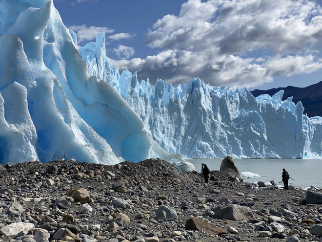 Ledenik Perito Moreno v Patagoniji, ki ga že desetletja preučuje slovensko-argentinski glaciolog Pedro Skvarca, polzi v jezero Argentina. FOTO: Matevž Lenarčič