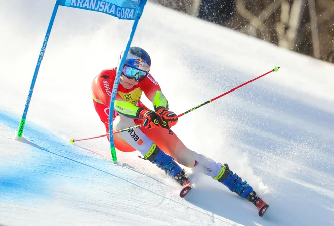 FOTO: Matej Družnik/Delo
