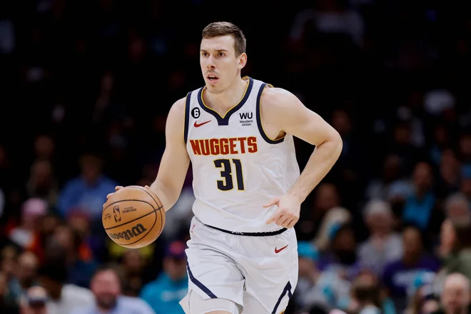 Vlatko Čančar je ob vrnitvi po poškodbi v statistiko vpisal en skok in dve osebni napaki. FOTO: Brian Westerholt/USA Today Sports