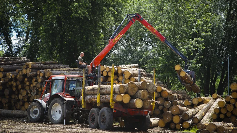 Fotografija: Na ministrstvu za gospodarstvo ocenjujejo, da obstaja še velik potencial za nadaljnji razvoj lesnopredelovalne panoge. FOTO: Jože Suhadolnik/Delo