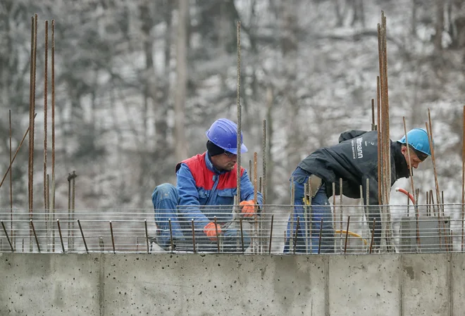 Priseljencem naj bi preprostejši postopki olajšali življenje. FOTO: Blaž Samec/Delo
