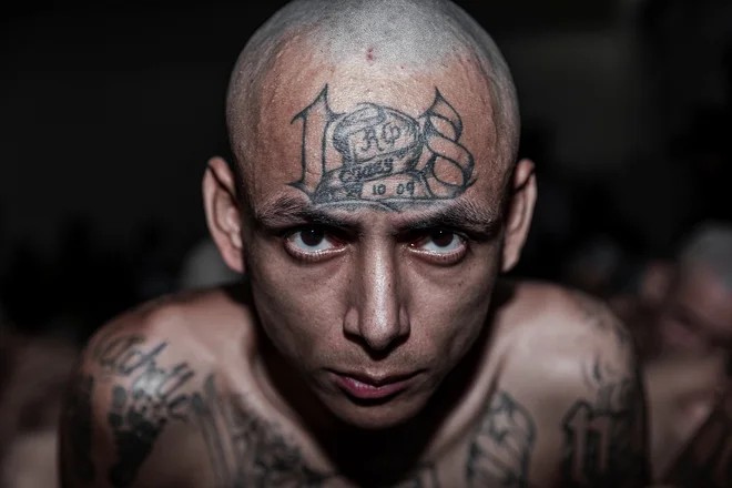 Portret zapornika med prihodom pripadnikov tolp MS-13 in 18, v novi zapor imenovan Center za zapiranje teroristov. Zapor se nahaja v kraju Tecoluca, 74 km JV od San Salvadorja. CECOT, največji ameriški mega zapor, je opremljen z visokotehnološkim nadzorom in je namenjen nastanitvi 40000 kriminalcev. Foto: Afp