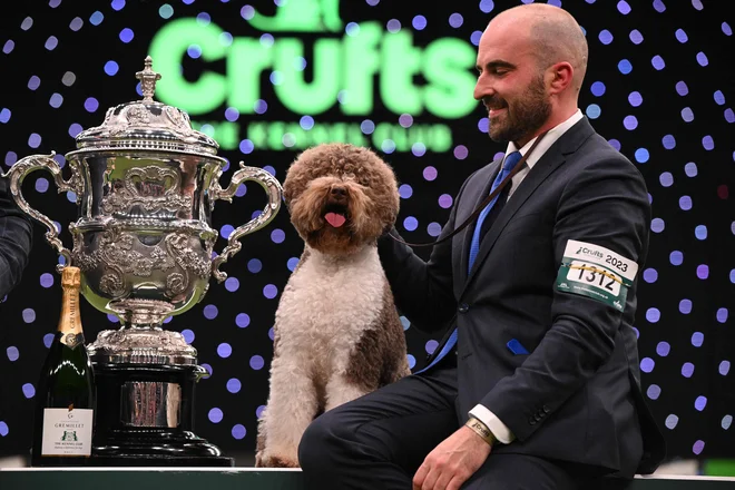 Orca je na pasji razstavi Crufts Dog Show v Veliki Britaniji premagala okoli 19 tisoč psov. FOTO: Oli Scarff/AFP