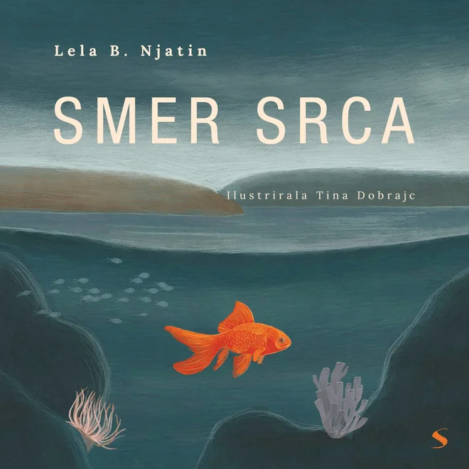Smer srca Foto Promocijsko Gradivo
